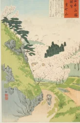 Mont Yoshino, fleurs de cerisier