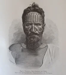 Juan Tepano, illustration de "Über die Tätowirung der Oster-Insulaner" par Hjalmar Stolpe