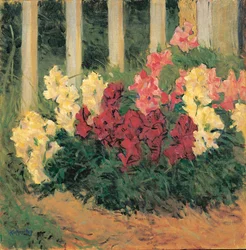Blumenstrauch vor Gartenzaun - Fleurs devant la clôture d