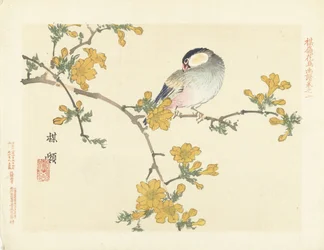Oiseau chanteur sur une branche fleurie