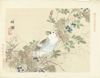 Oiseau chanteur parmi les herbes d