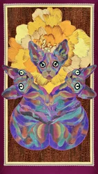 Une floraison colorée de Sphynx
