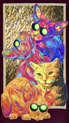 Les chats aux lunettes cool