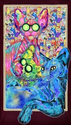 La famille des chats psychédéliques