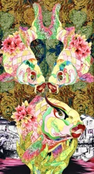 Koi fantastiques aux couleurs vives