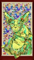 Un chat Sphynx plein de vie