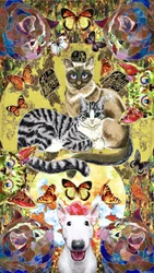 Des amis chats et chiens pleins de fantaisie