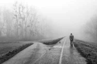 Les choix de Misty Road