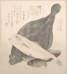 Flet et autres poissons
