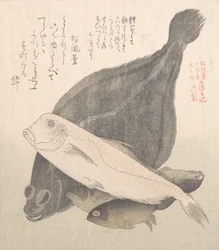 Plie et autres poissons, XIXe siècle