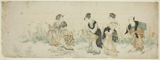 Cueillir des fleurs de printemps