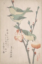 Zostérops du Japon sur une branche de pêcher, de la série Une réunion d