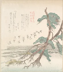 Paysage maritime avec des pins et des grues en vol
