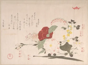 Recueil de la pluie de printemps (Harusame shū), vol. 2 : Fleurs coupées : clématite, lespédèze, iris, camélia et azalée