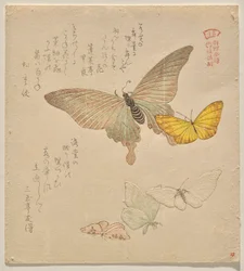 Le Manuel de peinture de l