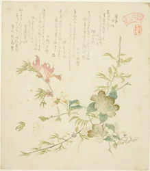 Diverses fleurs de printemps, de la série "Plantes et arbres printaniers pour le cercle de poésie Kasumi du groupe Yomo (Yomogawa Kasumi-ren haru no kusaki no uchi)"