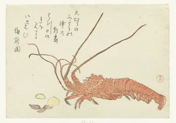 Homard et coquillages