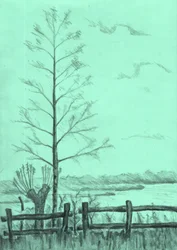 Paysage d