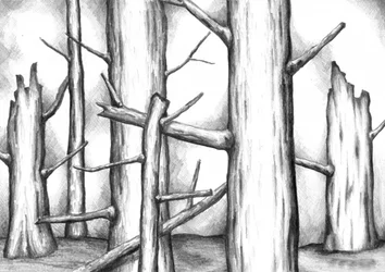 Dessin d