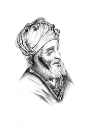 Portrait de la sauge barbu
