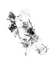Une abeille parmi les fleurs délicates