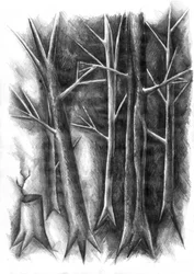 Le renouveau de la Forêt Noire