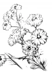 Élégant dessin floral