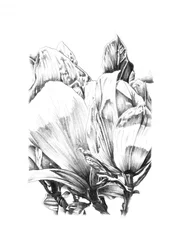 Élégante étude florale