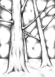 Lumière de la forêt éthérée
