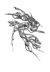 Structure cybernétique futuriste