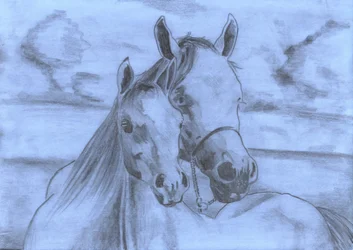 Esquisse de « Gentle Horse Bond »