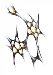 Formes organiques lumineuses