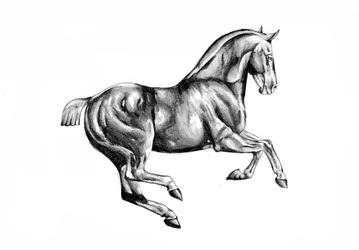 Dessin d