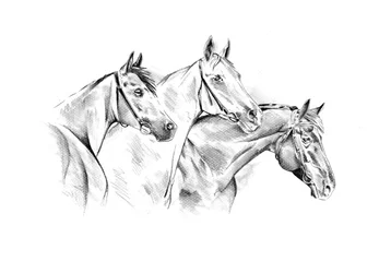 Dessin d