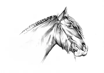 Dessin d