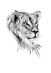 Le regard majestueux d
