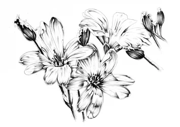 Fleurs monochromes