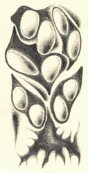 Forme organique mystérieuse