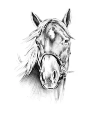 Dessin d