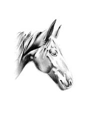 Profil de Noble Horse