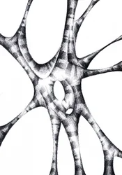 Structure abstraite organique