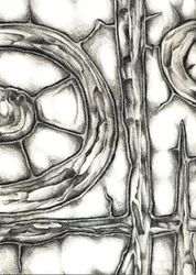 Formes organiques entrelacées