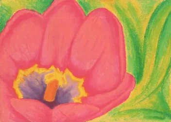 Fleur de tulipe rose