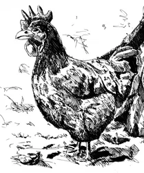 Illustration d