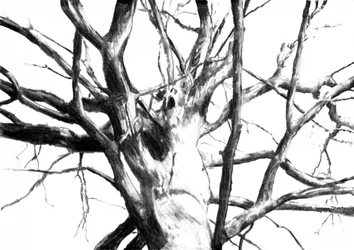 Dessin d