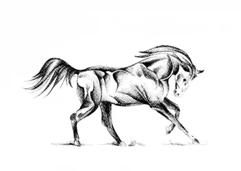 Dessin stylisé d