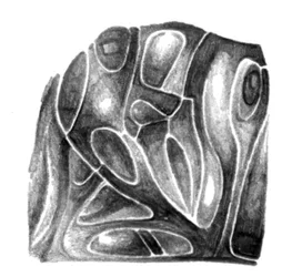 Formes organiques texturées