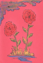 Deux roses en fleur