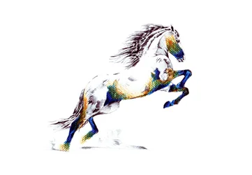 Cheval dressé plein de vie