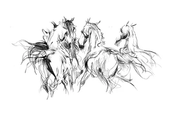 Mouvement des chevaux sauvages